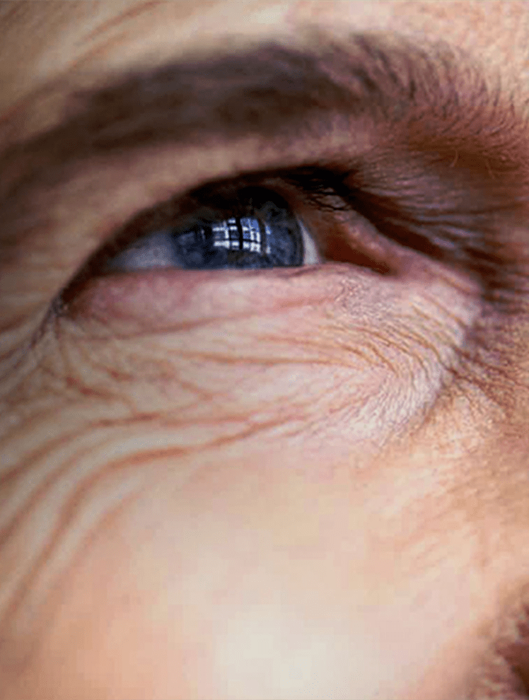 2_amministratori smart mob