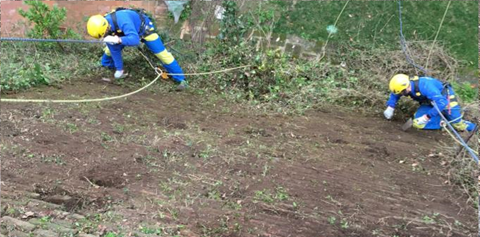 Rimozione di arbusti da Muraglione in Mattoni Siena Piazzetta Samoreci